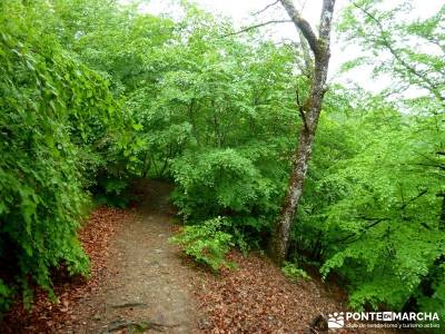 Valle del Baztán - Elizondo - Zugarramurdi; guia senderismo; senderismo de montaña